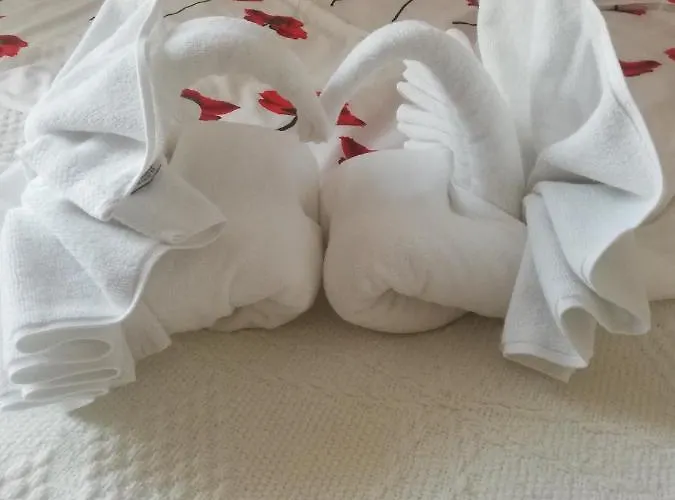 Victoria * Krynica Morska