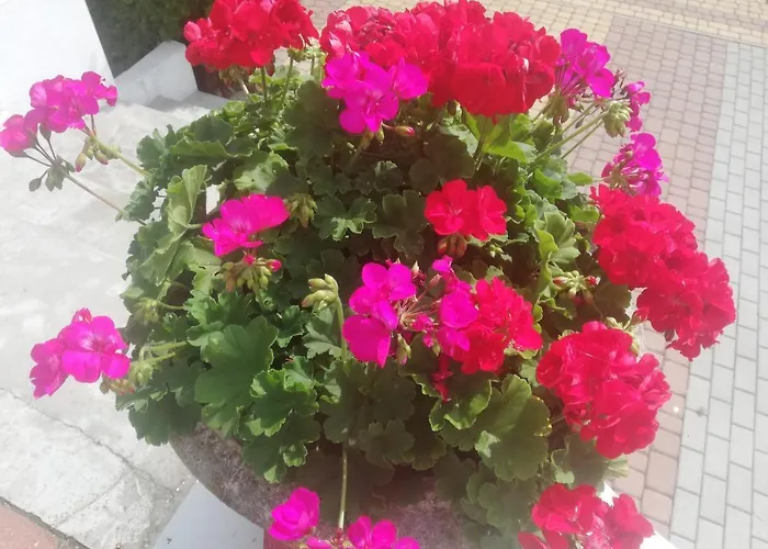 Rum i privatbostad Victoria