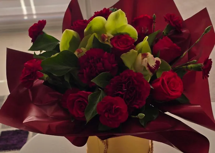 Rum i privatbostad Victoria Krynica Morska